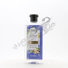 Herbal Essences Shampoo Miclellar Water Blue Ginger 400 Ml