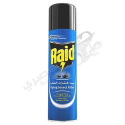 Raid Insect Killer 300 Ml
