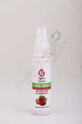 Egacs Logy Pack Fresh Breath Strawberry