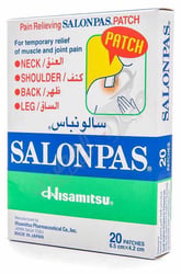 Salonpas Pain Relieving Patch 20 Patches