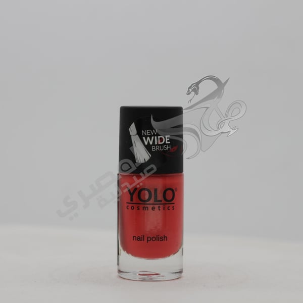 Yolo Nail Polish 110 Crave