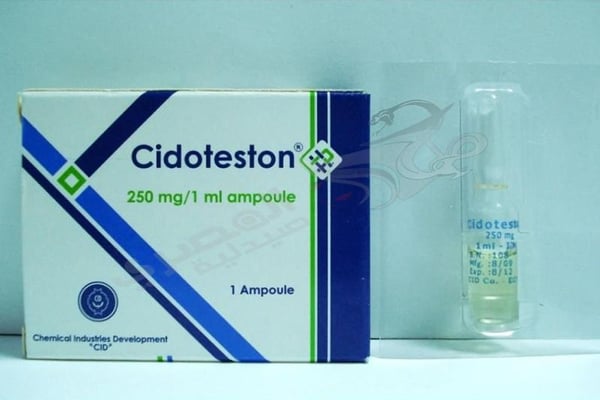 Cidoteston 250 Mg 1 Ampoules