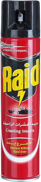 Raid Crawling Insects Killer - 400ml